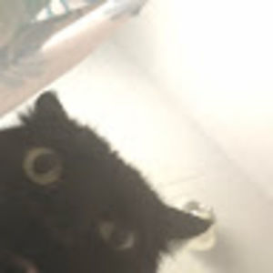 Meet your Posher, Esther